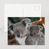Kutest Baby Animals | Koala en Joey Briefkaart (Voorkant / Achterkant)