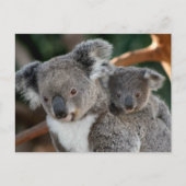 Kutest Baby Animals | Koala en Joey Briefkaart (Voorkant)