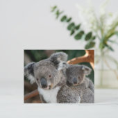 Kutest Baby Animals | Koala en Joey Briefkaart (Staand voorkant)