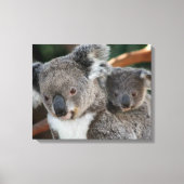 Kutest Baby Animals | Koala en Joey Canvas Afdruk (Voorkant)