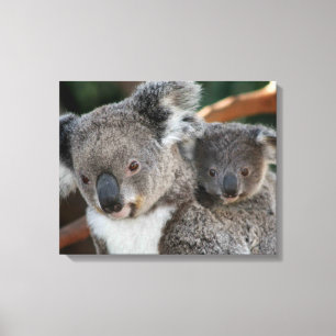 Kutest Baby Animals   Koala en Joey Canvas Afdruk