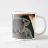 Kutest Baby Animals | Koala en Joey Grote Koffiekop (Rechts)