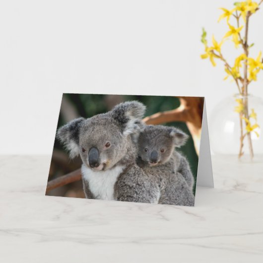 Kutest Baby Animals | Koala en Joey Kaart (Gele Bloem)