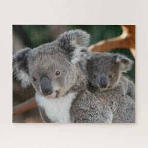Kutest Baby Animals   Koala en Joey Legpuzzel