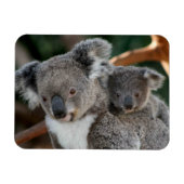 Kutest Baby Animals | Koala en Joey Magneet (Horizontaal)