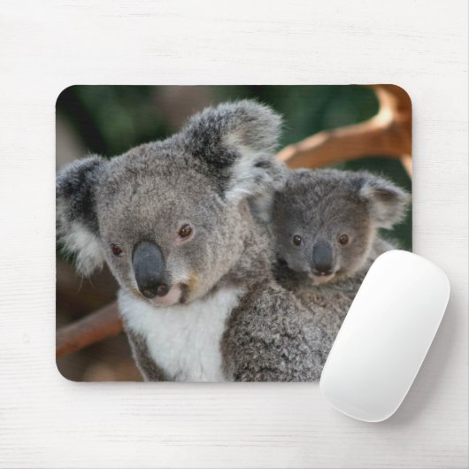 Kutest Baby Animals | Koala en Joey Muismat (Met muis)