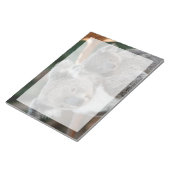 Kutest Baby Animals | Koala en Joey Notitieblok (Schuin)