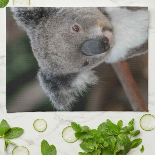 Kutest Baby Animals | Koala en Joey Theedoek (Gevouwen)