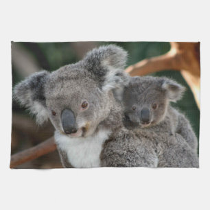 Kutest Baby Animals   Koala en Joey Theedoek