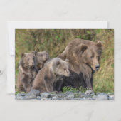 Kutest Baby Animals | Kodiak Mama Beer & Cubs Bedankkaart (Voorkant)