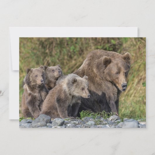 Kutest Baby Animals | Kodiak Mama Beer & Cubs Bedankkaart (Voorkant)