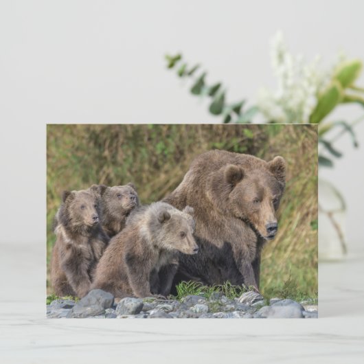 Kutest Baby Animals | Kodiak Mama Beer & Cubs Bedankkaart (Staand voorkant)