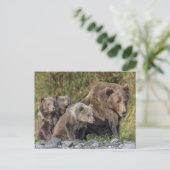 Kutest Baby Animals | Kodiak Mama Beer & Cubs Briefkaart (Staand voorkant)