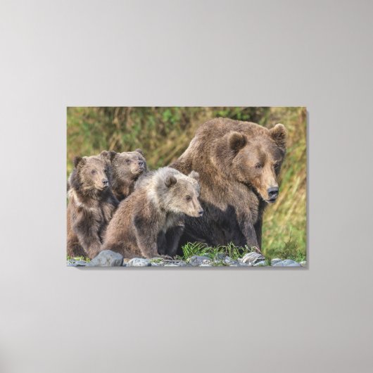 Kutest Baby Animals | Kodiak Mama Beer & Cubs Canvas Afdruk (Voorkant)