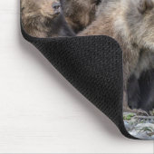 Kutest Baby Animals | Kodiak Mama Beer & Cubs Muismat (Hoek)