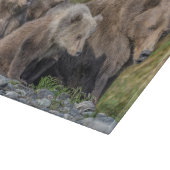 Kutest Baby Animals | Kodiak Mama Beer & Cubs Snijplank (Hoek)