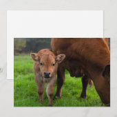 Kutest Baby Animals | Koe en kalf Bedankkaart (Voorkant / Achterkant)