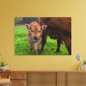 Kutest Baby Animals | Koe en kalf Canvas Afdruk (Insitu (Woonkamer))