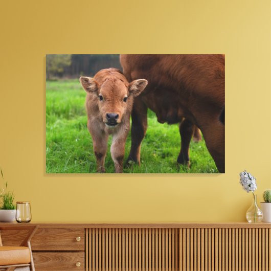 Kutest Baby Animals | Koe en kalf Canvas Afdruk (Insitu (Woonkamer))