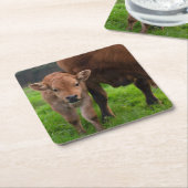 Kutest Baby Animals | Koe en kalf Kartonnen Onderzetters (Schuin)