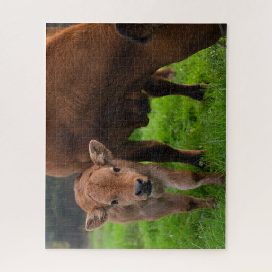 Kutest Baby Animals | Koe en kalf Legpuzzel (Verticaal)
