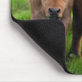 Kutest Baby Animals | Koe en kalf Muismat (Hoek)