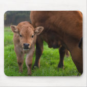 Kutest Baby Animals | Koe en kalf Muismat (Voorkant)