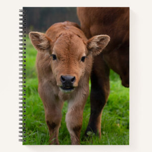 Kutest Baby Animals Koe en kalf Notitieboek