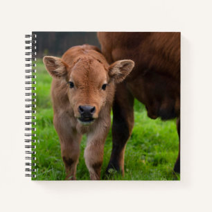 Kutest Baby Animals Koe en kalf Notitieboek