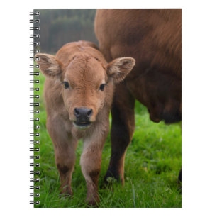 Kutest Baby Animals   Koe en kalf Notitieboek