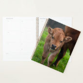 Kutest Baby Animals | Koe en kalf Planner (Display)