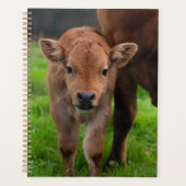 Kutest Baby Animals | Koe en kalf Planner (Voorkant)