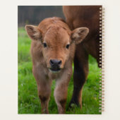 Kutest Baby Animals | Koe en kalf Planner (Achterkant)