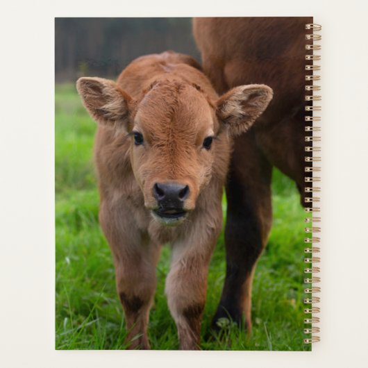 Kutest Baby Animals | Koe en kalf Planner (Achterkant)