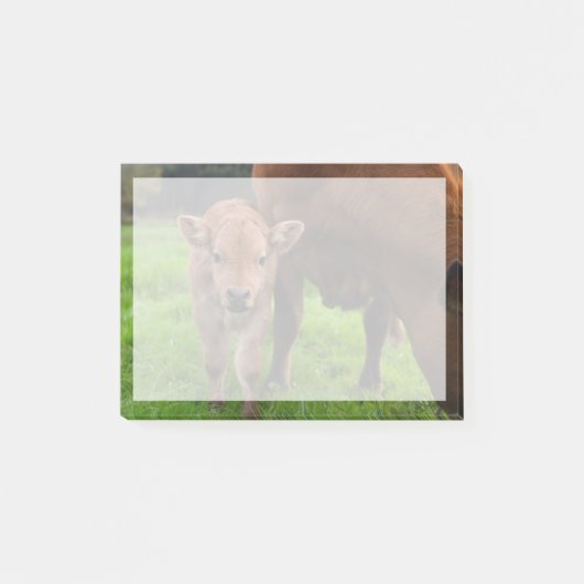 Kutest Baby Animals | Koe en kalf Post-it® Notes (Voorkant)