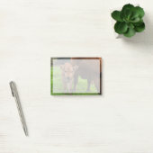 Kutest Baby Animals | Koe en kalf Post-it® Notes (Kantoor)