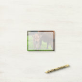 Kutest Baby Animals | Koe en kalf Post-it® Notes (Op bureau)