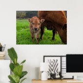 Kutest Baby Animals | Koe en kalf Poster (Thuiskantoor)