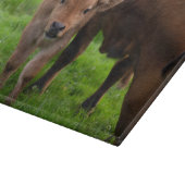 Kutest Baby Animals | Koe en kalf Snijplank (Hoek)