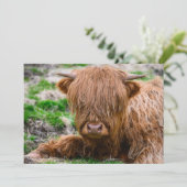 Kutest Baby Animals | Koe van het Hoogland Bedankkaart (Staand voorkant)