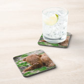 Kutest Baby Animals | Koe van het Hoogland Bier Onderzetter (Rechterzijde)