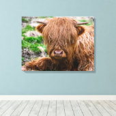 Kutest Baby Animals | Koe van het Hoogland Canvas Afdruk (Insitu (Houten vloer))