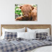 Kutest Baby Animals | Koe van het Hoogland Canvas Afdruk (Insitu (Slaapkamer))
