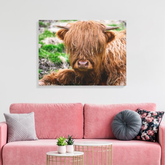 Kutest Baby Animals | Koe van het Hoogland Canvas Afdruk (Insitu (Woonkamer))