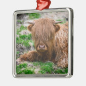 Kutest Baby Animals | Koe van het Hoogland Metalen Ornament (Links)
