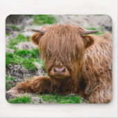 Kutest Baby Animals | Koe van het Hoogland Muismat (Voorkant)