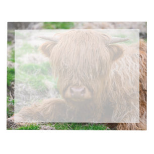 Kutest Baby Animals   Koe van het Hoogland Notitieblok