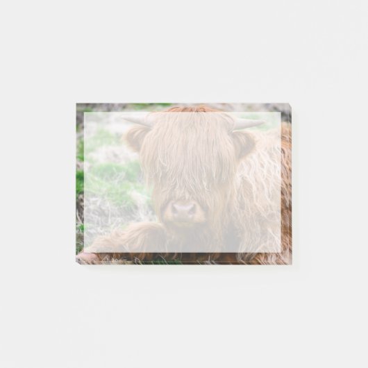 Kutest Baby Animals | Koe van het Hoogland Post-it® Notes (Voorkant)
