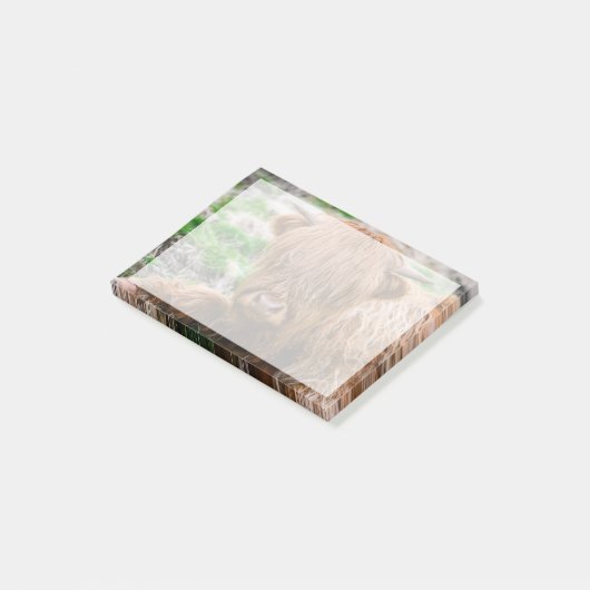 Kutest Baby Animals | Koe van het Hoogland Post-it® Notes (Schuin)