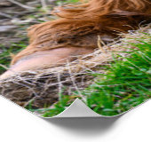 Kutest Baby Animals | Koe van het Hoogland Poster (Hoek)